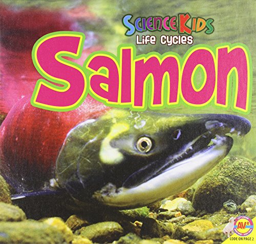 Salmon