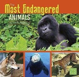 The All About Animals Most Endangered Animals in the World