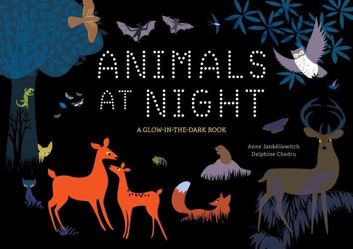 Animals at Night