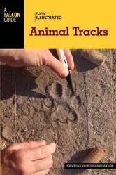 Basic Illustrated Animal Tracks
