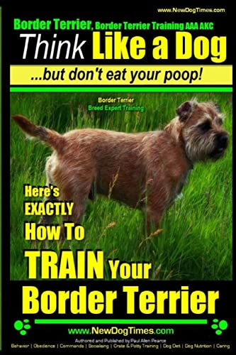 Border Terrier, Border Terrier Training AAA AKC