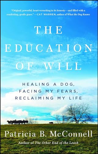 The Education of Will