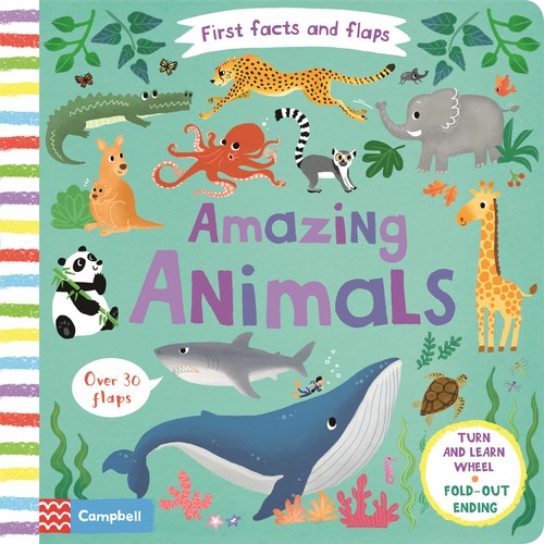 Amazing Animals
