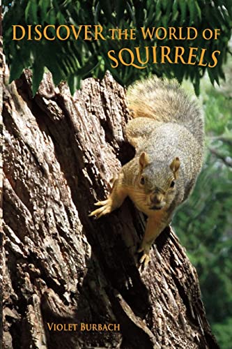 Discover the World of Squirrels