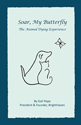 Soar, My Butterfly