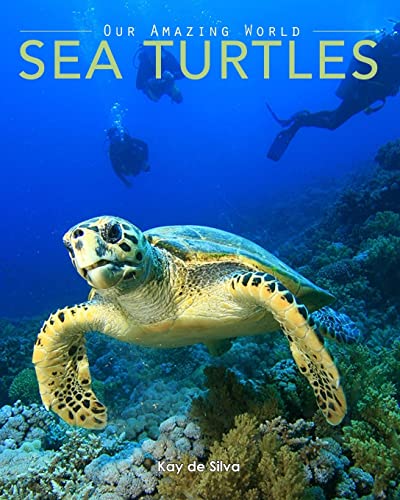 Sea Turtles