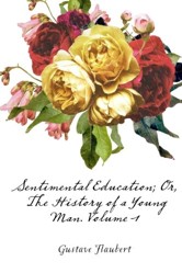 Sentimental Education; Or, The History of a Young Man. Volume 1
