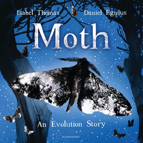 Moth