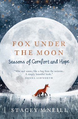 Fox Under the Moon