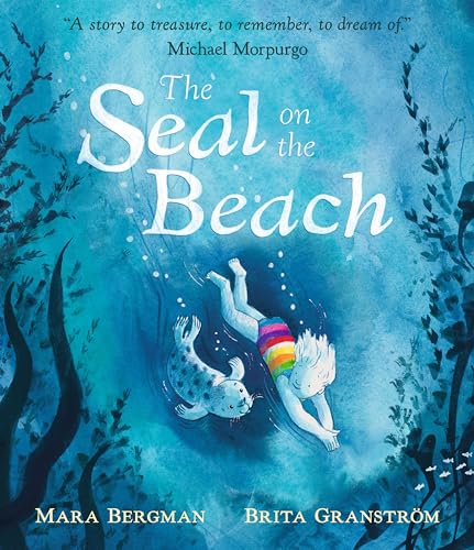 The Seal on the Beach