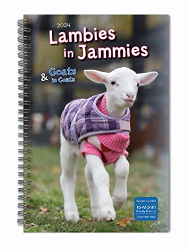 Lambies in Jammies