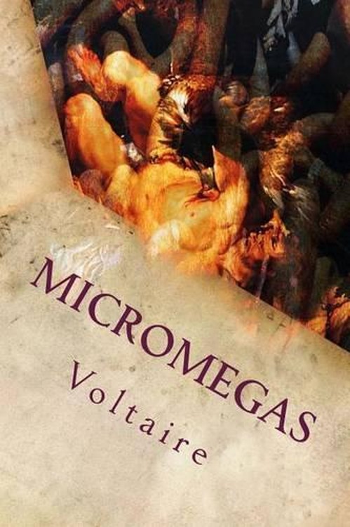 Micromegas