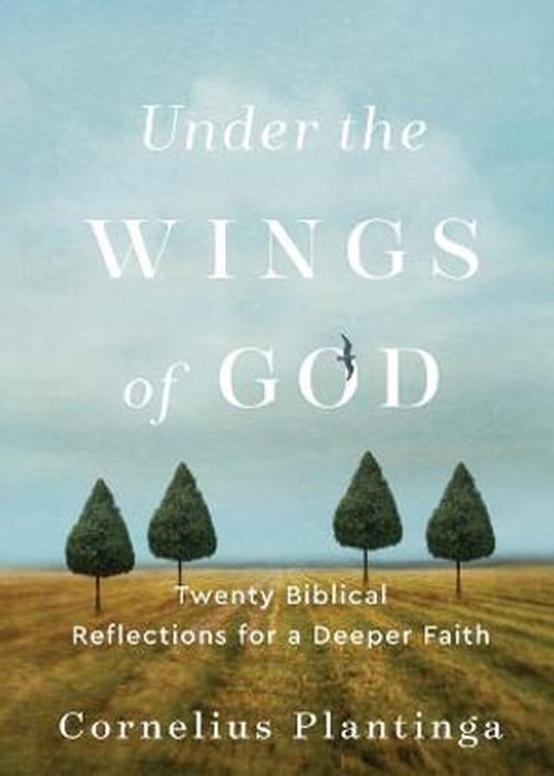 Under the Wings of God Twenty Biblical Reflections for a Deeper Faith