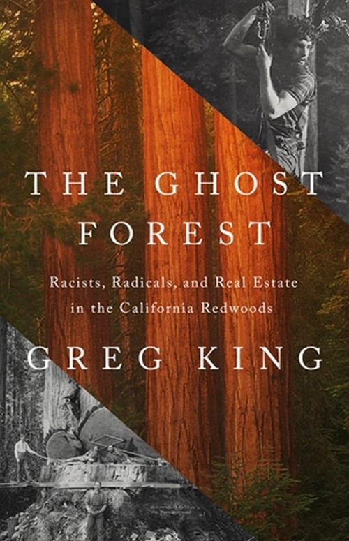 The The Ghost Forest