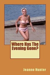 Where Has The Evening Gone?