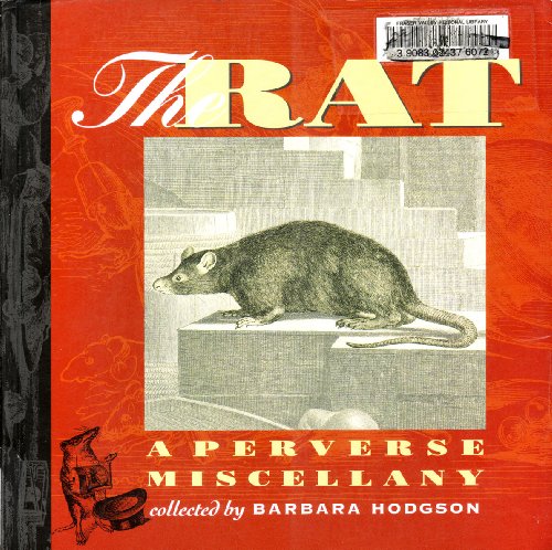 The Rat