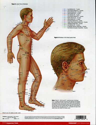 Acupuncture Points