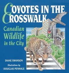 Coyotes in the Crosswalk