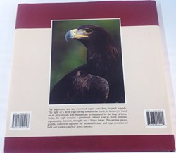 Eagles