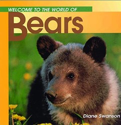 Welcome Bears (Wonderful World