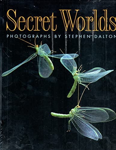 Secret Worlds