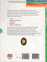 Evening Primrose Oil
