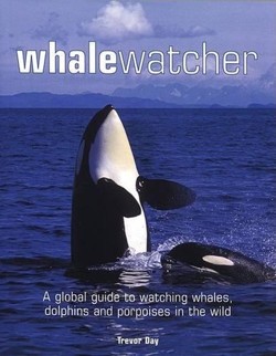 Whale Watcher