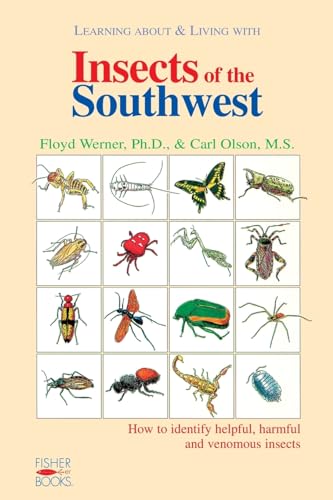 Insects Of The Southwest