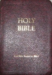 Fireside Study Bible-Nab