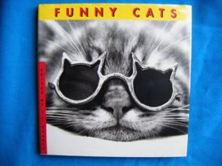 Funny Cats