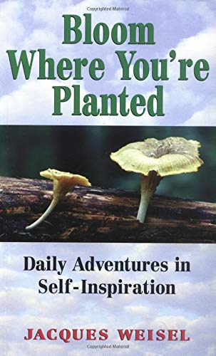 Bloom Where You're Planted