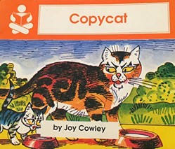 Copycat (The Story Box)