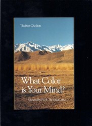 What Colour is Your Mind?