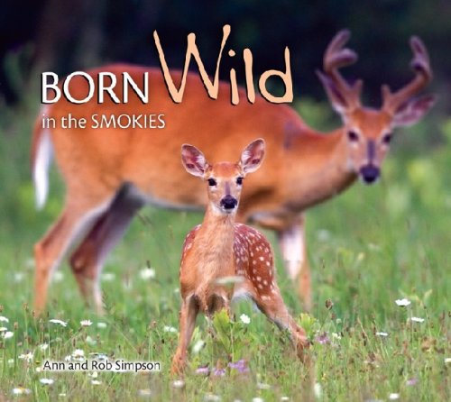 Born Wild in the Smokies