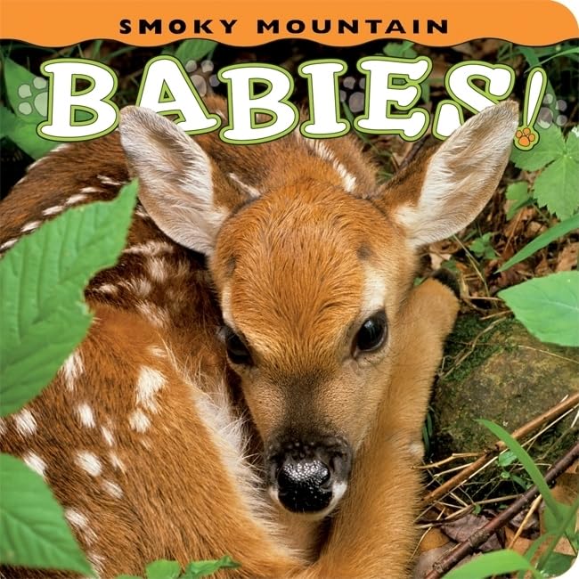 Smoky Mountain Babies!