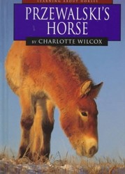 Przewalski's Horse