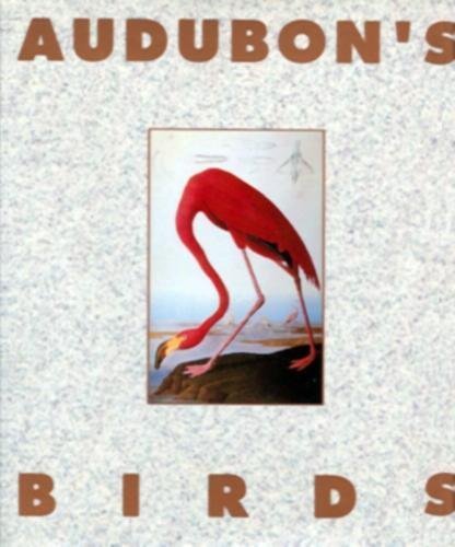 Audubon's Birds