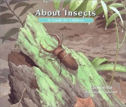 About Insects