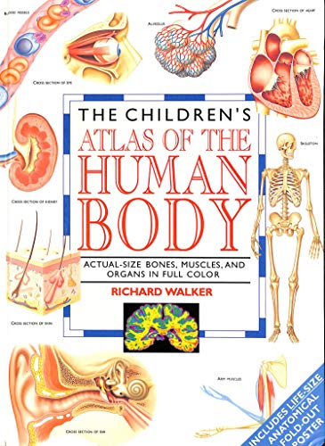 Child Atlas
