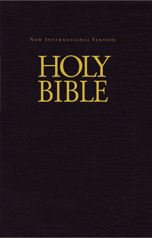 NIV, Economy Bible, Hardcover, Black