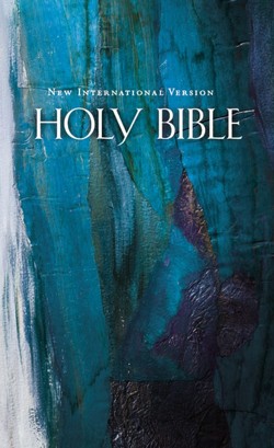 NIV, Economy Bible, Hardcover, Blue