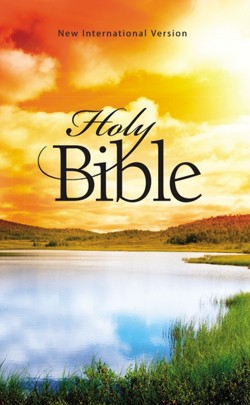 NIV Holy Bible