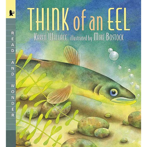 Think of an Eel