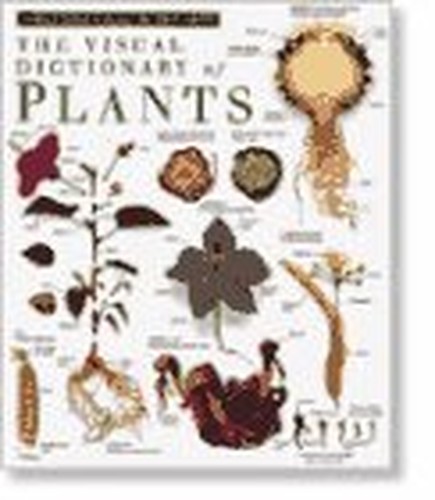 Eyewitness Visual Dictionary: Plants