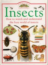 Insects