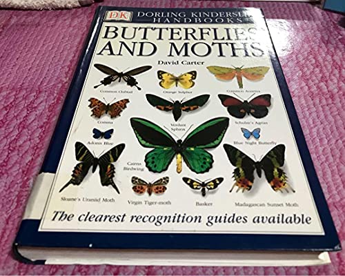 Butterflies & Moths