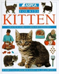 Kitten