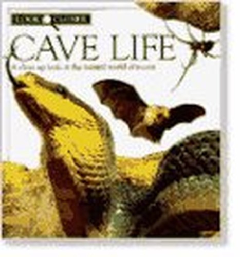 Cave Life
