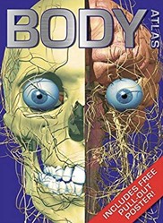Body Atlas
