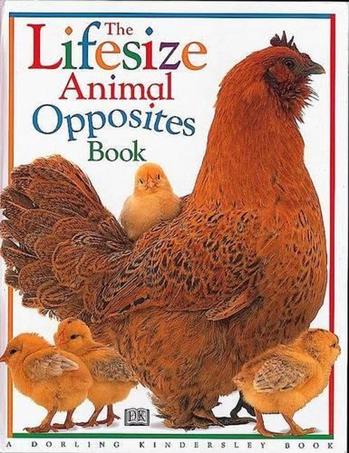 The Lifesize Animal Opposites Book